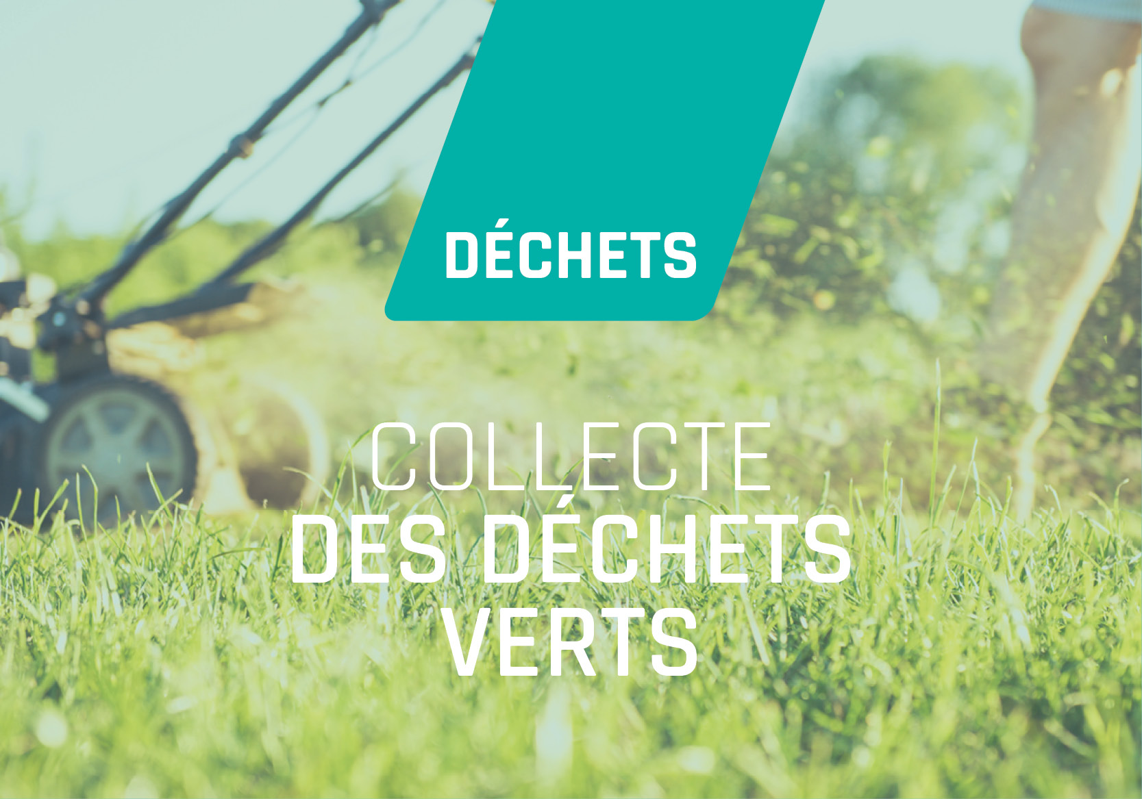 Collecte des déchets verts / 18 Avril