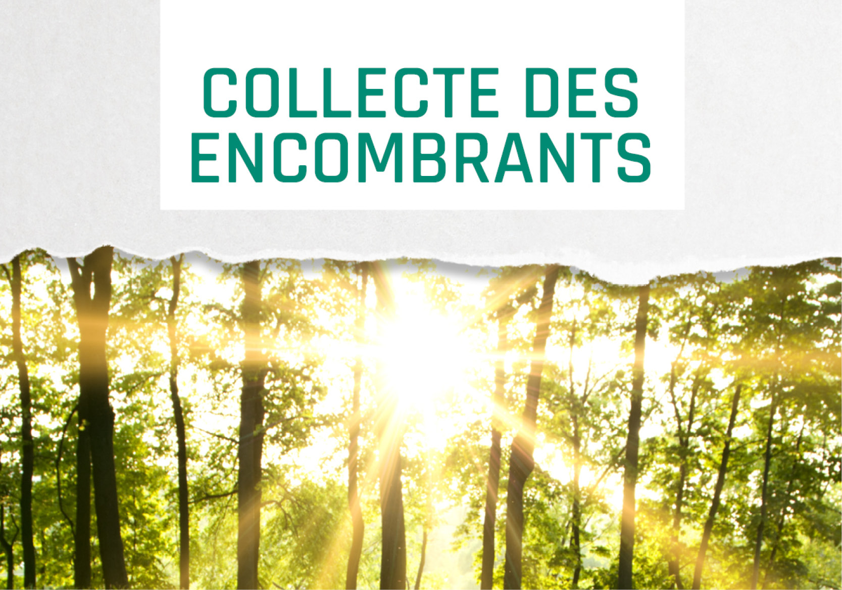 Collecte des encombrants / Mardi 12 Septembre