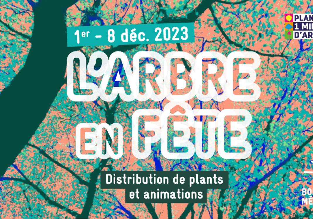 L’arbre en Fête / 2 au 8 Décembre