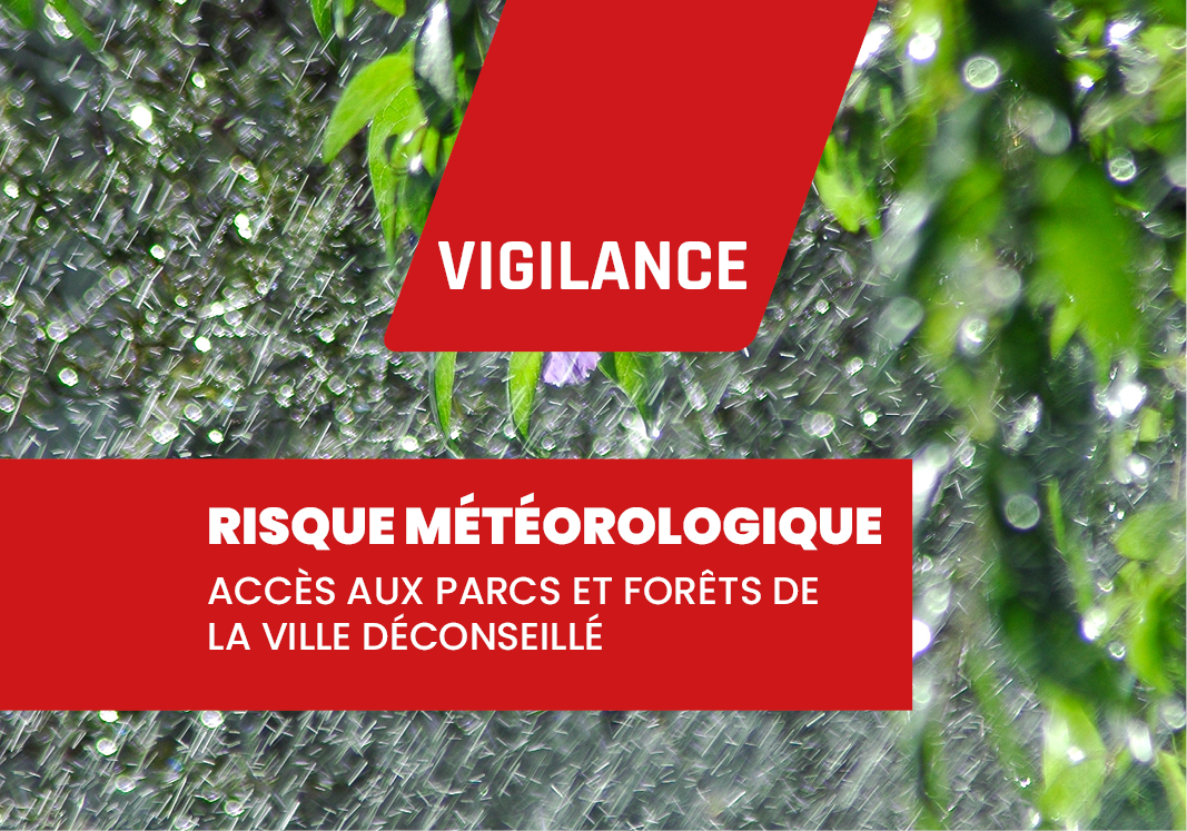 Vigilance Météo / 4 et 5 Novembre