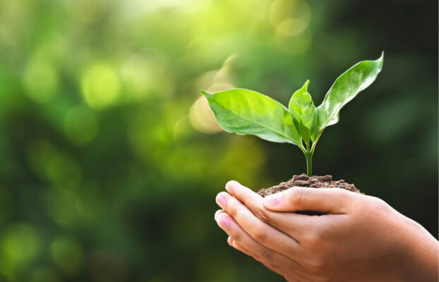 Rapport développement durable 2021 – 2024