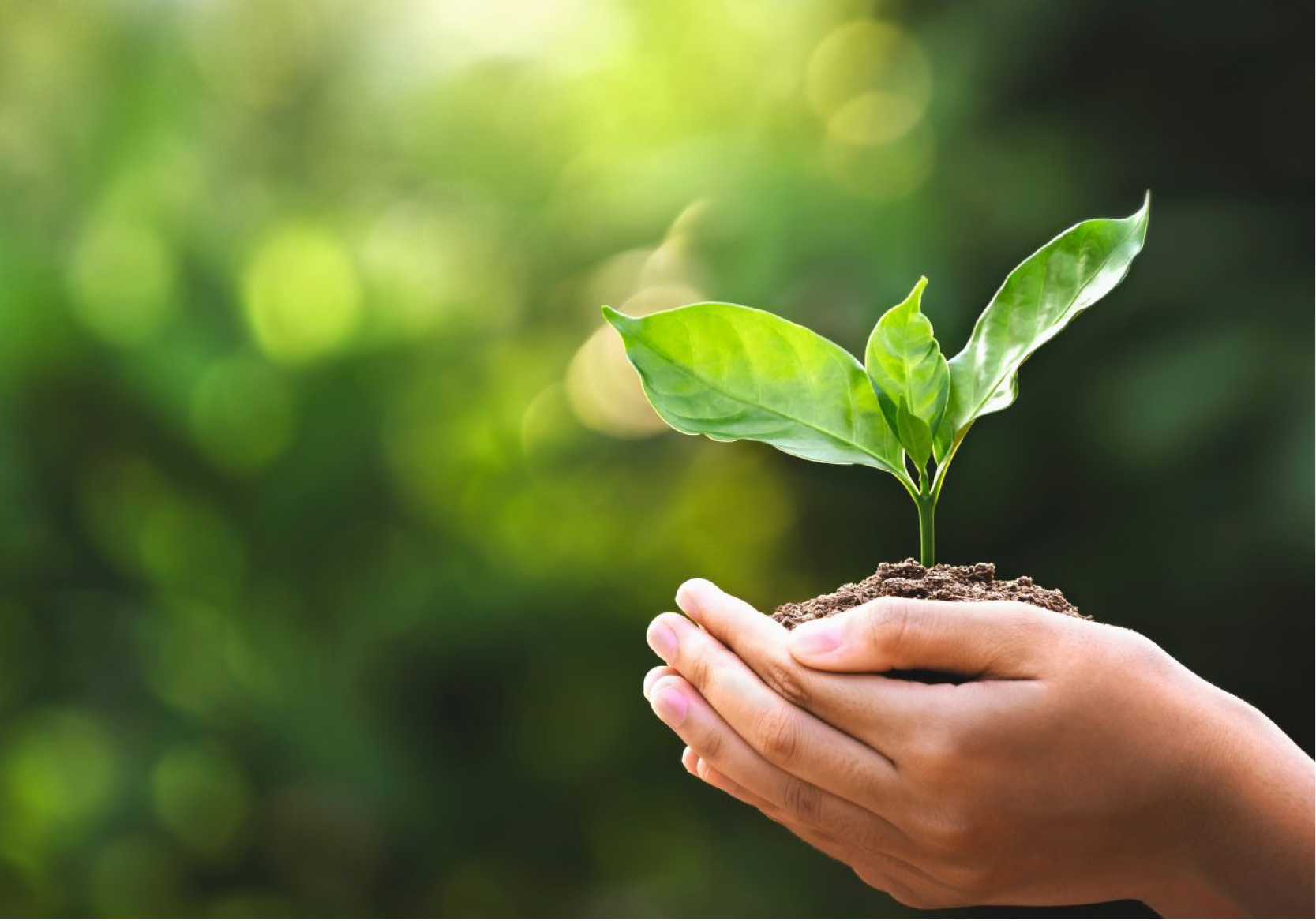 Rapport développement durable 2021 – 2024