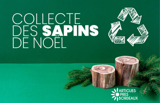 Opération « Recyclons nos sapins ! »