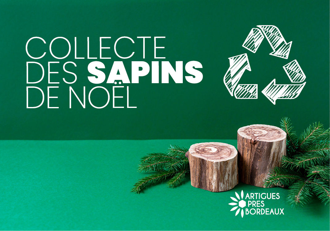 Opération « Recyclons nos sapins ! »
