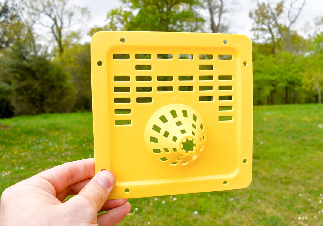 Lutte contre le frelon asiatique : récupérez votre grille gratuite !