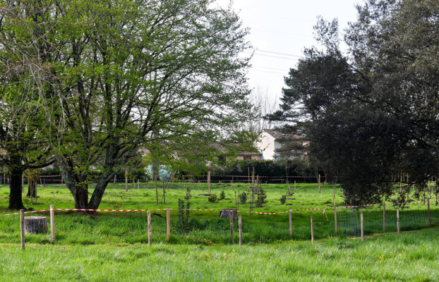 Bientôt 100 arbres plantés dans le parc Bétailhe