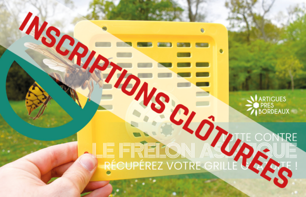 Lutte contre le frelon asiatique : récupérez votre grille gratuite ! (COMPLET)