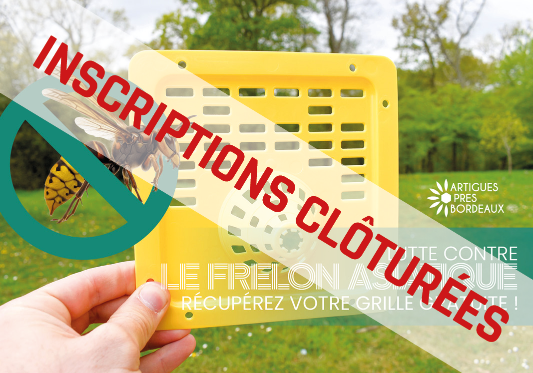 Lutte contre le frelon asiatique : récupérez votre grille gratuite ! (COMPLET)
