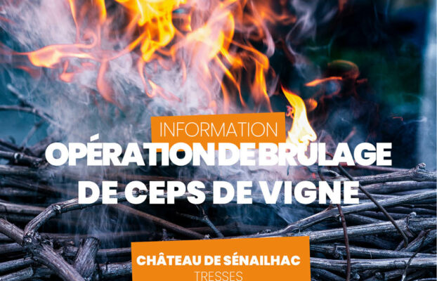 Opération de brûlage / Vignes / Tresses