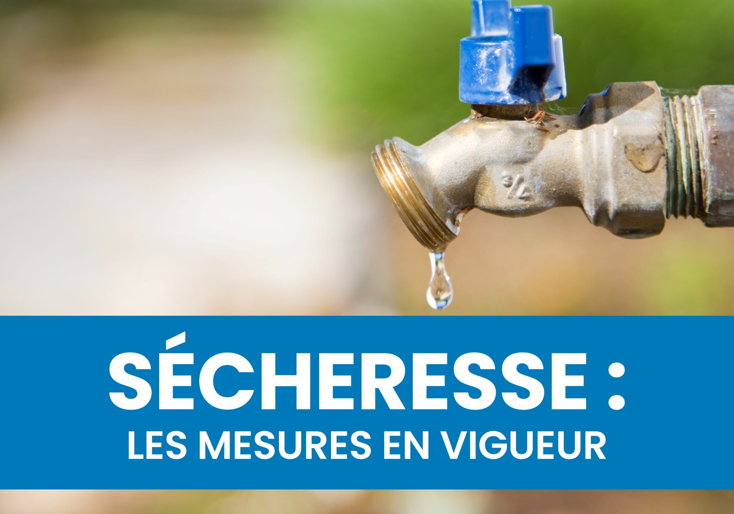 Sécheresse : les mesures en vigueur